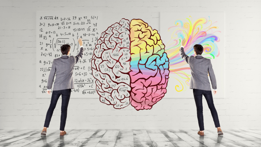 Den vänstra hjärnhalvan står för analytiska förmågor medan den högra hjärnhalvan ansvarar för konstärlig förmåga och synförmåga. Foto: Shutterstock
